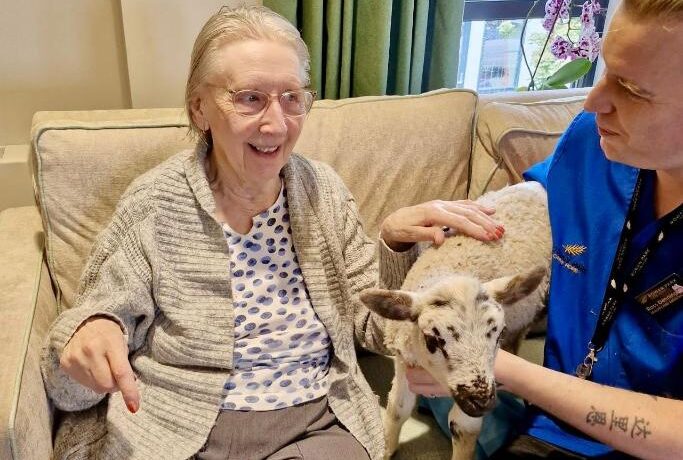 nurse and an older lady sat with a lamb from an animal visit